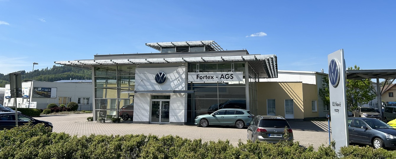 FORTEX - AGS